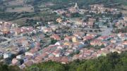 Top Monti