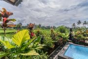 Top Ubud