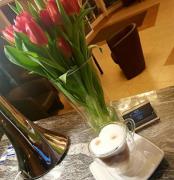 Top Głogów Top Głogów