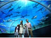 Top Las Palmas de Gran Canaria Top Las Palmas de Gran Canaria