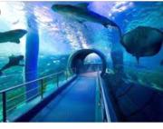 Top Las Palmas de Gran Canaria