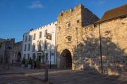 THE PIG in the Wall - Southampton THE PIG in the Wall - Southampton