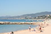 Top Cannes