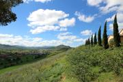 Top Poggio Berni