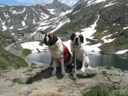 Top Bourg-Saint-Pierre