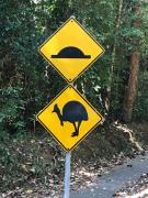 Daintree Magic Holiday House