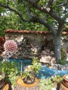 Top Star Dojran