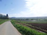 Top La Chapelle-sous-Brancion