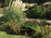 Top Puerto Varas Top Puerto Varas