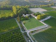 Top Tarascon