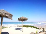 Peniches Blue & White