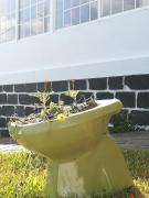 Top Ponta Delgada Top Ponta Delgada