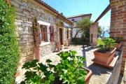 Top Novigrad Istria