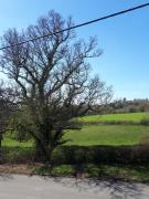 Top Burwash Top Burwash