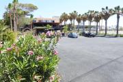 Top Paphos City
