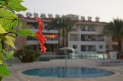 Top Paphos City