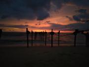 Top Alleppey