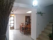 Top Aracena