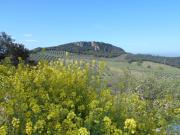 Top La Carrera de la Viña