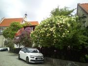 Top Kazimierz Dolny Top Kazimierz Dolny