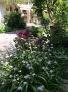 B&B Oasi di Venezia