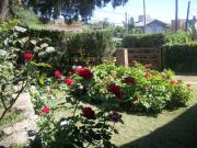 Top Villa Carlos Paz