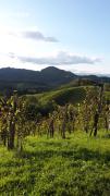 Top Leutschach
