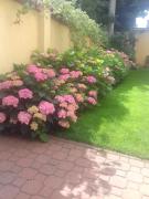 Top Gdańsk Top Gdańsk