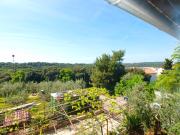 Top Banjole Top Banjole