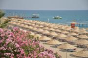 Top Kemer