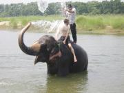 Top Sauraha Top Sauraha
