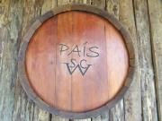 Top Cauquenes Top Cauquenes