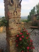 Top Vicchio