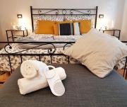 Top Bedonia Top Bedonia