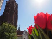 Top Gdańsk Top Gdańsk