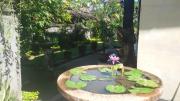Top Ubud