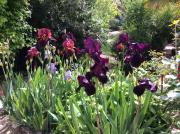 Top Moustiers-Sainte-Marie