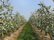 Gastenverblijf Chambre dAmis