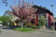 Punkrock Harbour Pension Bähr