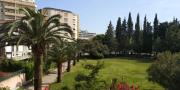 Top Budva