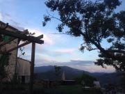 Top Bracelli