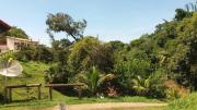 Top Penedo