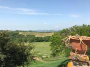Top Montaione
