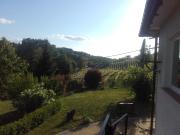 Top Dwikozy Top Dwikozy