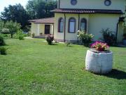 Top Umag