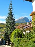 Alla casa del cedro