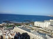 Top Playa de las Americas