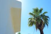 Top Palm Springs