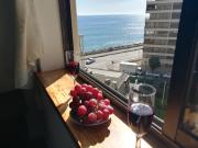 Top Viña del Mar