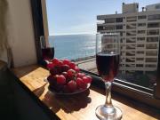 Top Viña del Mar